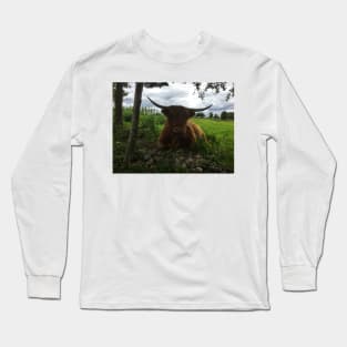 Scottish Highland Cattle Cow 2013 Long Sleeve T-Shirt